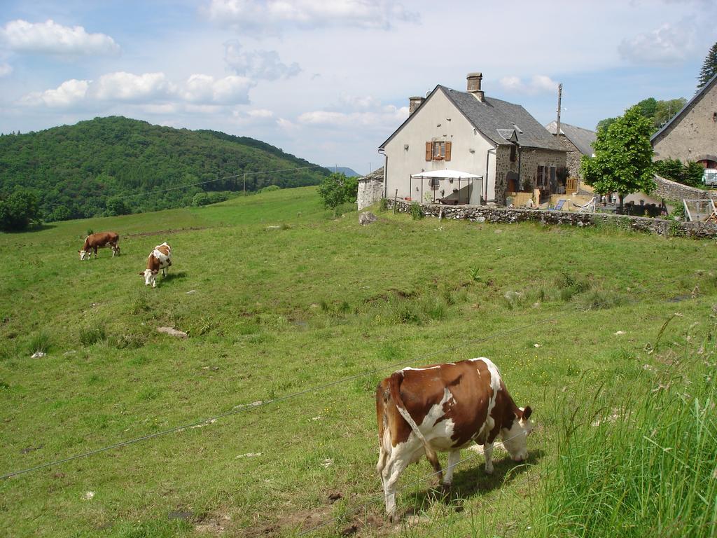 Villa Chez Marraine Sauvat Esterno foto